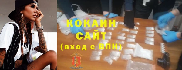 ешки Алексин