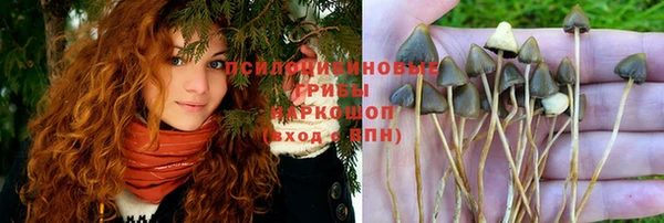 Альфа ПВП Алексеевка