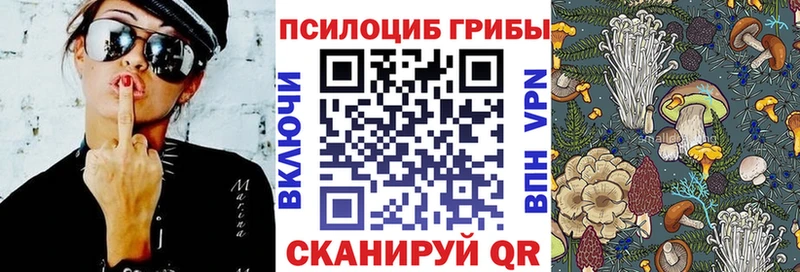 Галлюциногенные грибы Cubensis  Купить закладки  Сычёвка 
